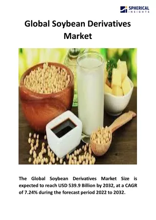 Global Soybean Derivatives Market