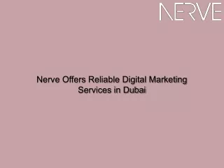 Nerve Offers Reliable Digital Marketing Services in Dubai