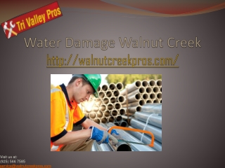 Water Damage Walnut Creek