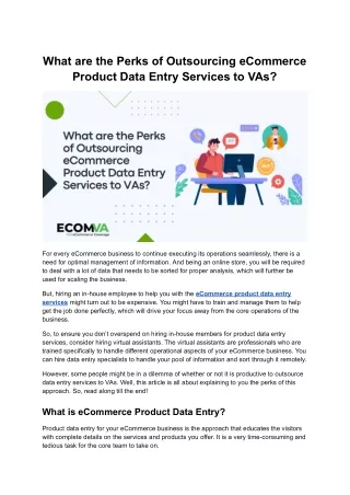 What are the Perks of Outsourcing eCommerce Product Data Entry Services to VAs?