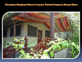 Drunken Elephant Mara's Luxury Tented Camp in Maasai Mara