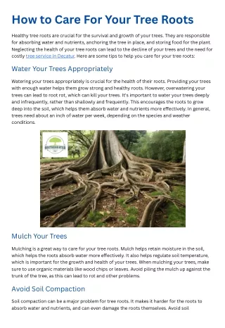 How to Care For Your Tree Roots