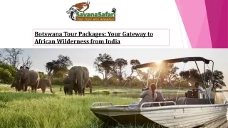 Botswana Tour Packages Your Gateway to African Wilderness from India