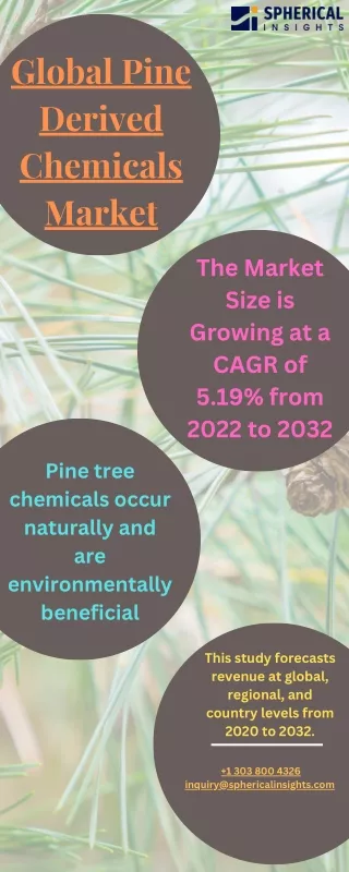 Pine Derived Chemicals Market