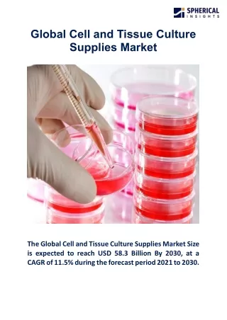Global Cell And Tissue Culture Supplies Market
