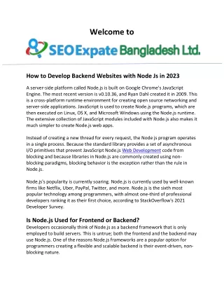 Node.js Web Development  SEO Expert Bangladesh LTD