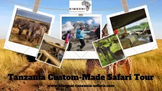 Get Best Tanzania Custom-Made Safari Tour at Kimgoni Tanzania Safaris