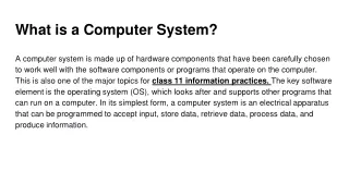 What is a computer system