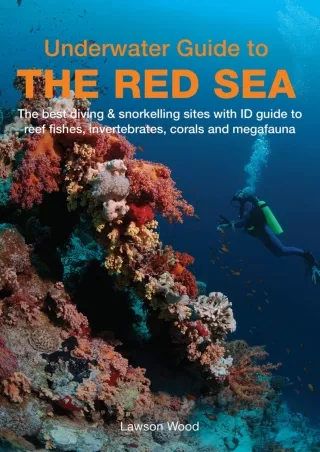 Read ebook [PDF] Underwater Guide to the Red Sea download