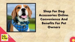 Shop For Dog Accessories Online Convenience And Benefits For Pet Owners