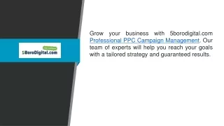 Professional Ppc Campaign Management  5borodigital.com