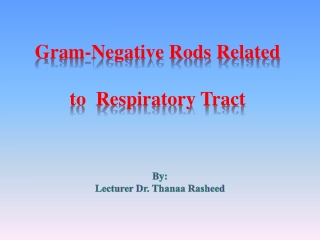 Gram-Negative Rods Related to Respiratory Tract