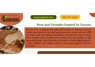 pest and termite control in tucson