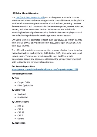 LAN Cable Market