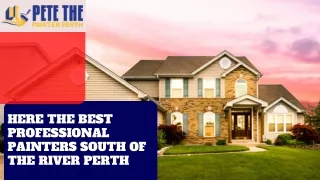 Here The Best Professional Painters South of The River Perth