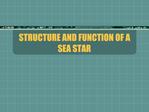 STRUCTURE AND FUNCTION OF A SEA STAR