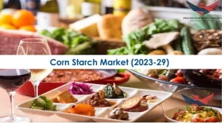 Corn Starch Market Key Players and Strategies 2023-2029