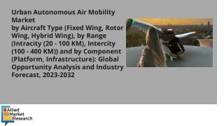 Urban Autonomous Air Mobility