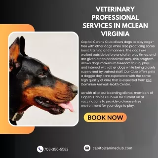 Veterinary Professional Services in McLean Virginia