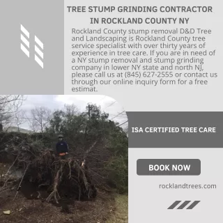 Tree Stump Grinding Contractor in Rockland County NY
