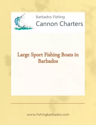 Enjoy the Thrill of Barbados Fishing on Large Sport Boats