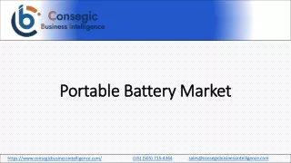 Portable Battery Market