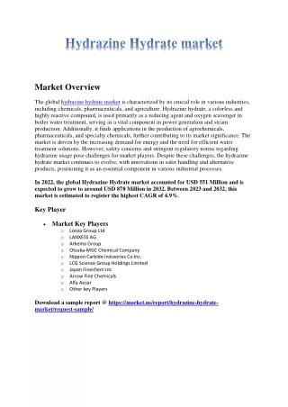 Hydrazine Hydrate Market