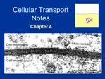 Cellular Transport Notes