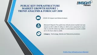 Public Key Infrastructure Market Growth Report | Trend Analysis & Forecast 2030