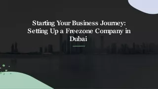 Setup Freezone Company in Dubai (1)