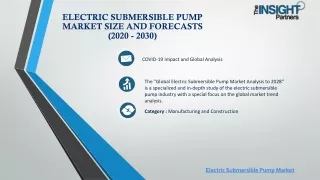 Electric Submersible Pump Market Size and Forecasts (2020 - 2030)