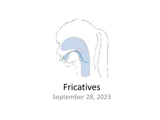 Fricatives