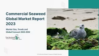 Commercial Seaweed Market Growth Factors And Forecast To 2032