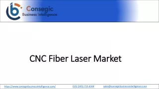 CNC Fiber Laser Market