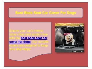 Best Back Seat Car Cover For Dogs