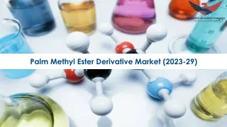 Palm Methyl Ester Derivative Market Outlook Report 2023