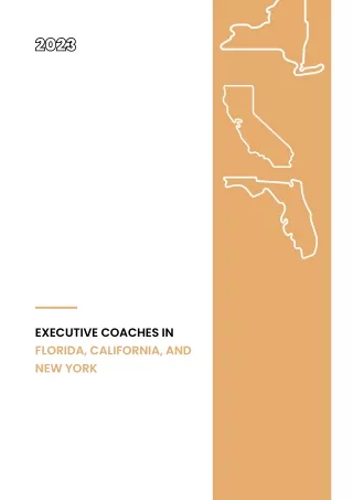 Executive Coaches