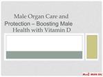 Male Organ Care and Protection – Boosting Male Health