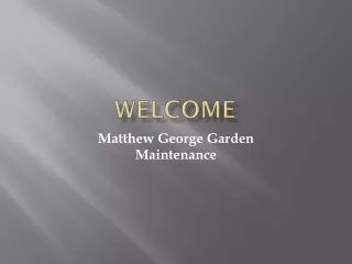 Get the Best Hedge Cutting in Little Irchester