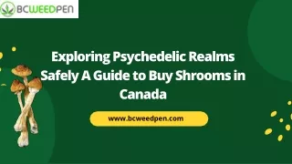 Exploring Psychedelic Realms Safely A Guide to Buying Shrooms in Canada