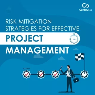 Risk mitigation strategies for effective project management