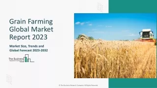 Grain Farming Market Research Analysis 2023-2032 | Growth, Size, Demand