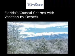 Florida's Coastal Charms with Vacation By Owners