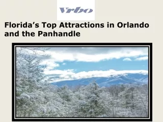 Florida’s Top Attractions in Orlando and the Panhandle