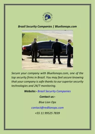 Brazil Security Companies  Bluelionops