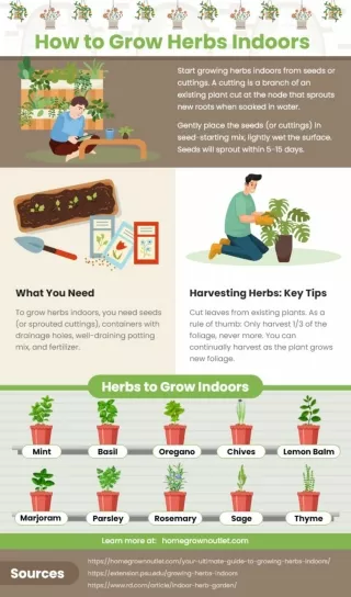 How to grow herbs Indoors?