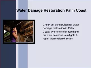 Water Damage Restoration Palm Coast