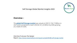 Self Storage Global Market RA