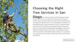 Choosing the Right Tree Services in San Diego Factors to Consider