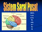 Sistem Saraf Pusat